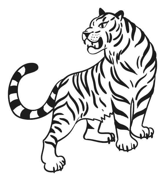 Grafische tijger zwart-wit van roofzuchtige wilde kat vectorillustratie geïsoleerd op wit