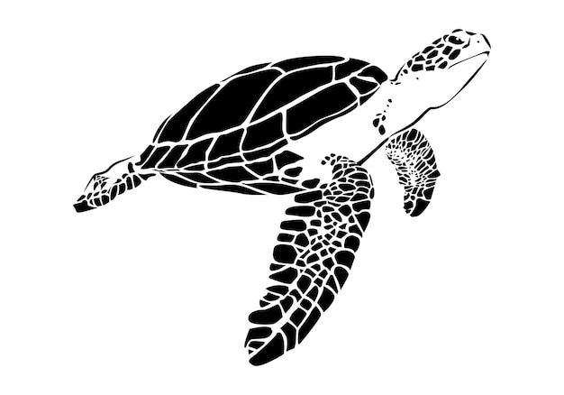 Grafische zeeschildpad vector illustratie van zeeschildpad vector van schildpad ontwerp op een witte achtergrond