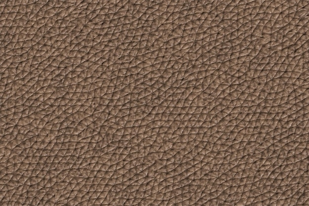 grain leather texture background
