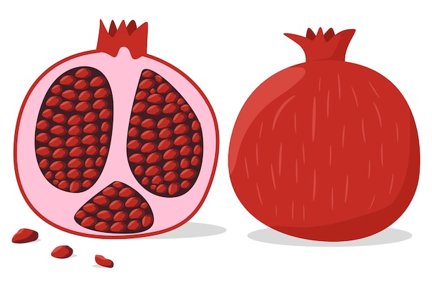 Granaatappel fruit cartoon vectorillustratie geïsoleerd op een witte achtergrond