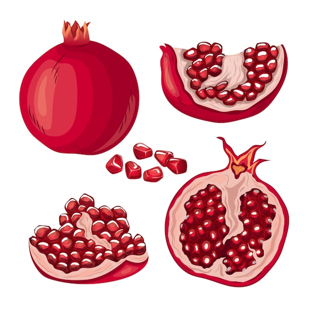 Granaatappel fruit rood zaad set cartoon vectorillustratie