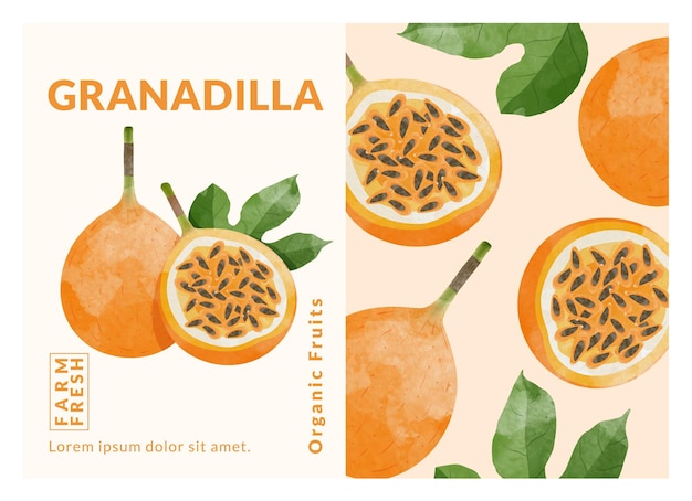 Granadilla o giallo modelli di packaging di frutta della passione illustrazione vettoriale in stile acquerello