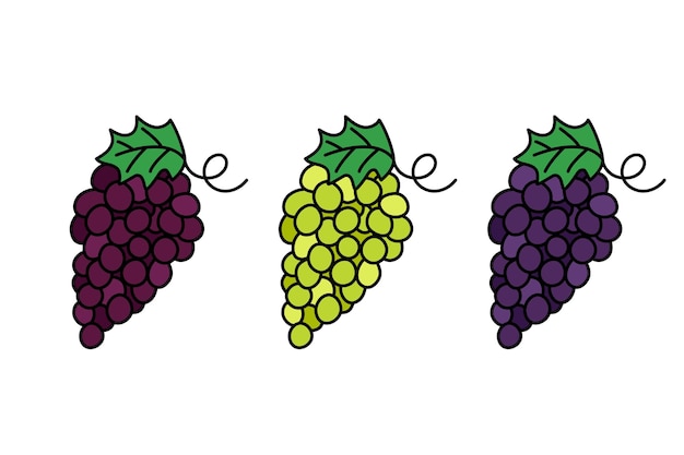 Grape bunch doodles set Wine and table grapes clusters Various elements isolated Vector illustration