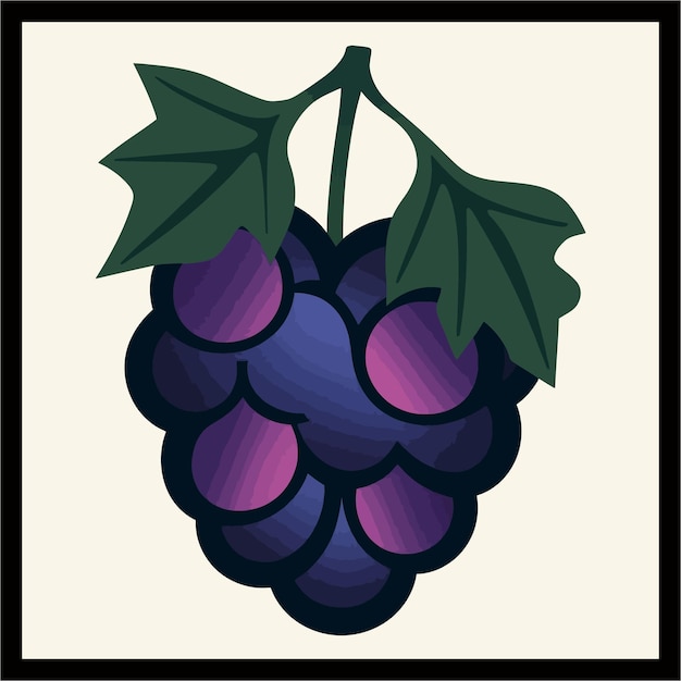 Vector grape color vector illustration