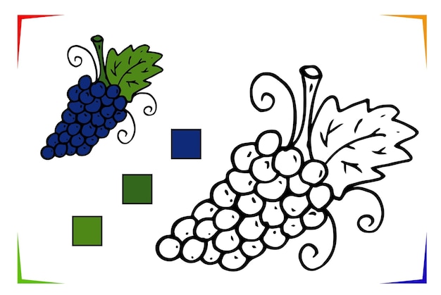 Grape Coloring Page Vector Educational worksheet colored by sample Paint game preschool kids