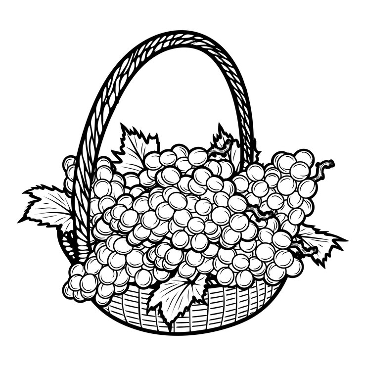 Vector grape coloring pages fruit leaf basket hand drawn coloring pages