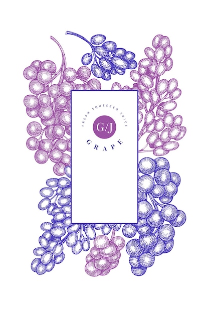 Grape design template.