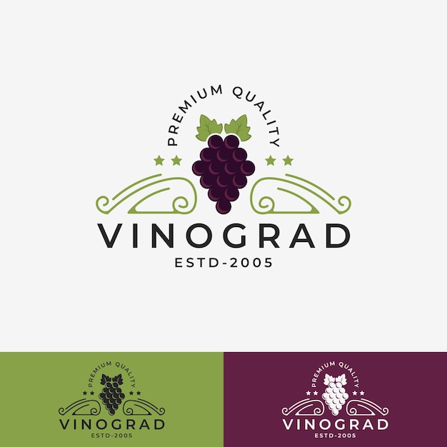 Vector grape fruit vintage logo vector illustration design suitable for brand identity business company grape logo isolated