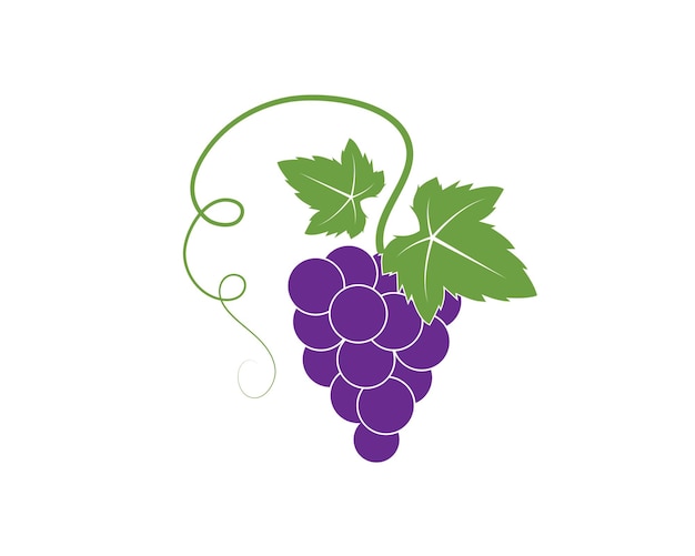 Grape fruits with leaf icon vector illustrtion  template