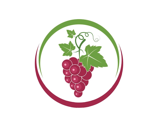 Grape fruits with leaf icon vector illustrtion  template