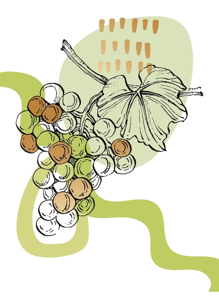 Виноград ручной росписи иллюстрации для украшения стен минималистский цветок в стиле эскиза