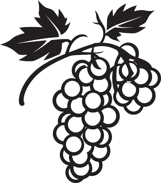 The Grape Harvest Vector Illustrations Unveiled