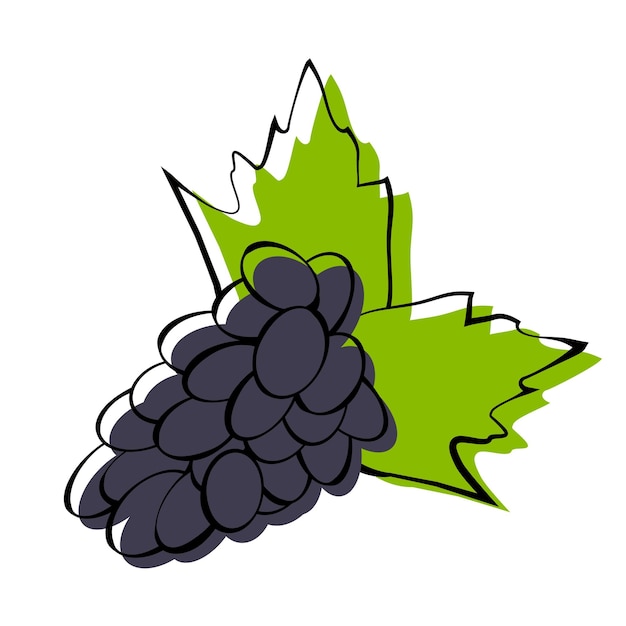 grape icon fruit design sketch style