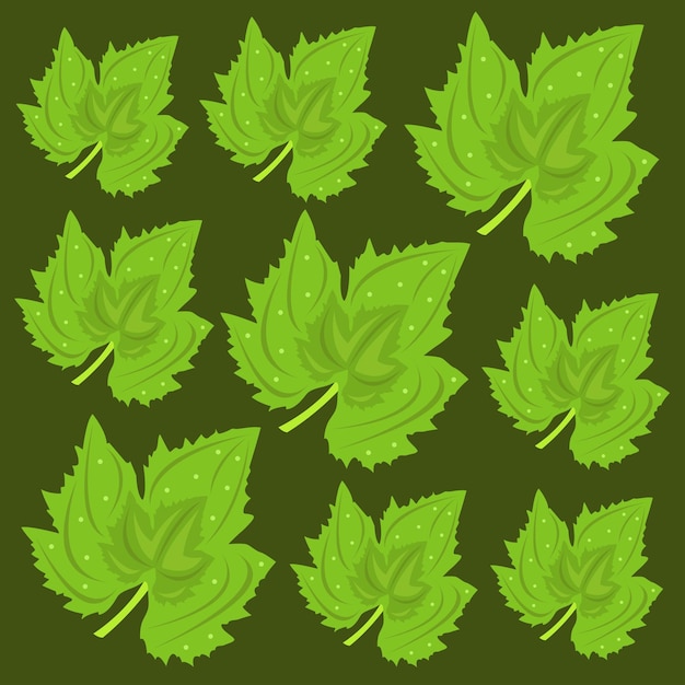 Grape leaf plant vector illustration