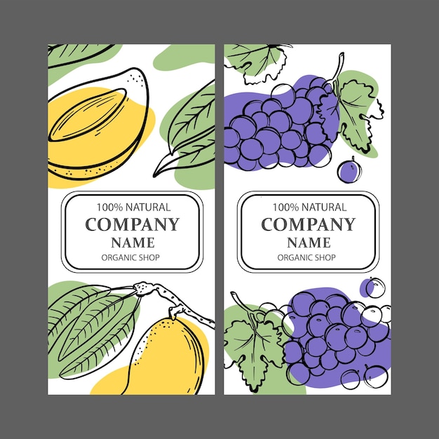 Вектор grape mango labels design sketch vector illustration set