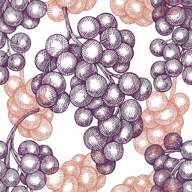 Grape seamless pattern. Hand drawn vector grape berry illustration.