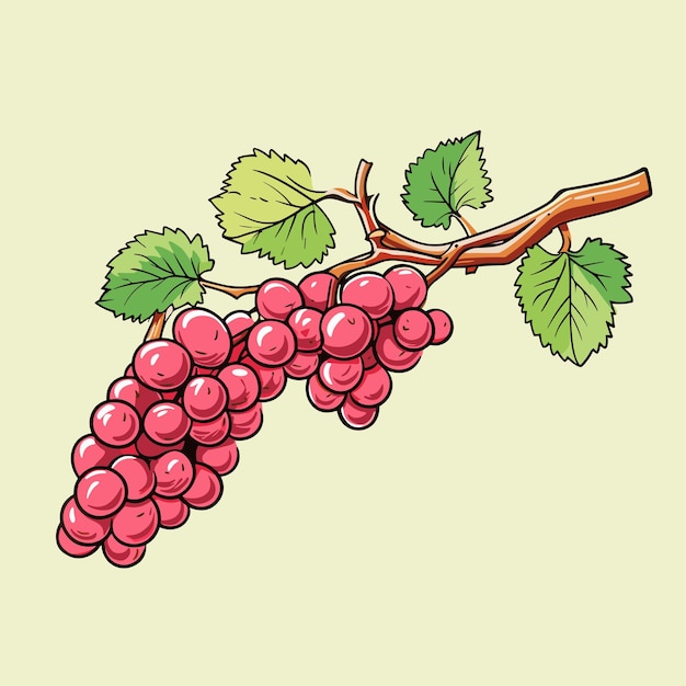 Grape vine or grape branch decorative element vector illustration Isolated hanging grape twig with green leaves and red berries