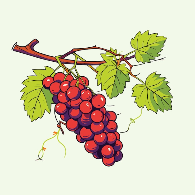 Grape vine or grape branch decorative element vector illustration Isolated hanging grape twig with green leaves and red berries