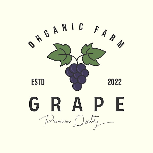 Grape vintage color logo vector template illustration design organic farm logo concept