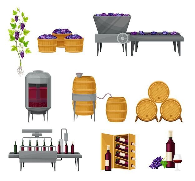 Vector grape wine production with alcoholic fermentation and pouring in bottles process vector set