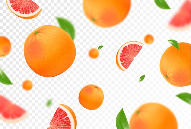 Grapefruit achtergrond vliegende grapefruit met groen blad op transparante achtergrond citrus vallen vanuit verschillende hoeken gerichte en wazige objecten realistische 3d-vectorillustratie