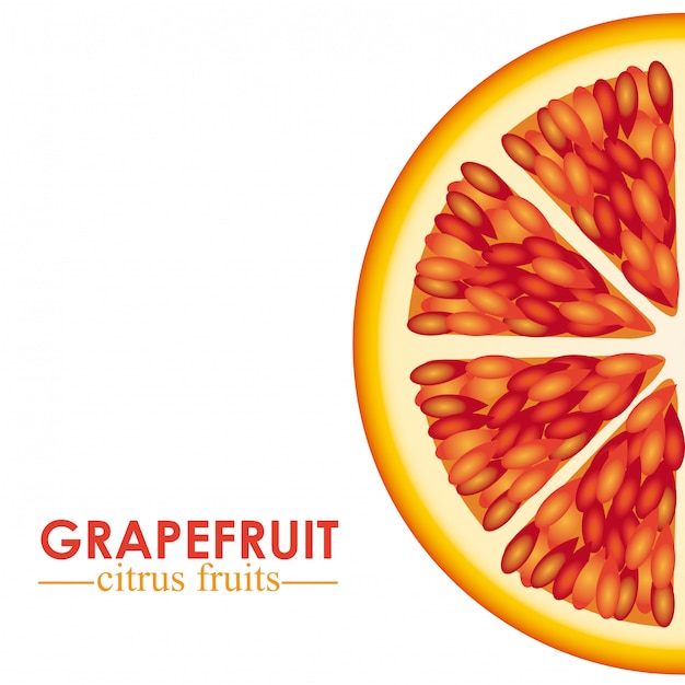 Grapefruit citrusvruchten