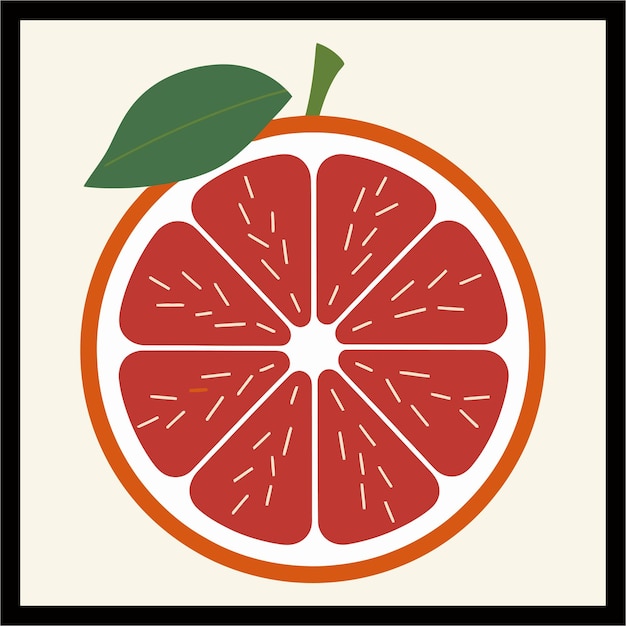 Vector grapefruit color vector illustration