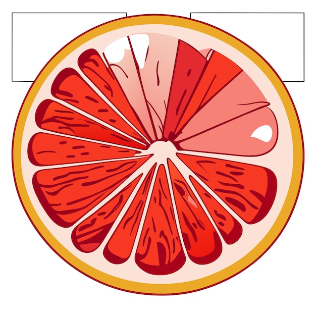 Grapefruit hand drawn cartoon sticker icon concept isolated illustration