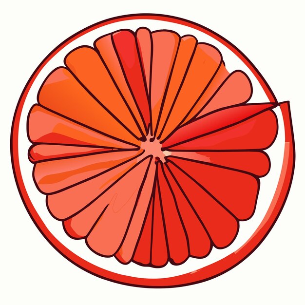 Vector grapefruit hand drawn cartoon sticker icon concept isolated illustration