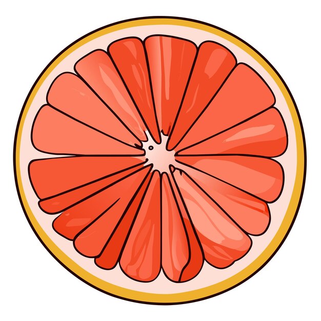 Vector grapefruit hand drawn cartoon sticker icon concept isolated illustration