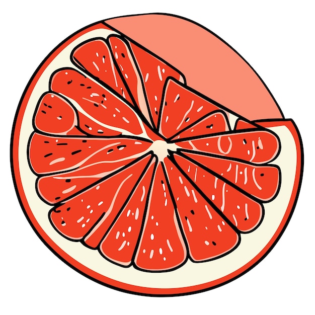 Grapefruit hand drawn cartoon sticker icon concept isolated illustration