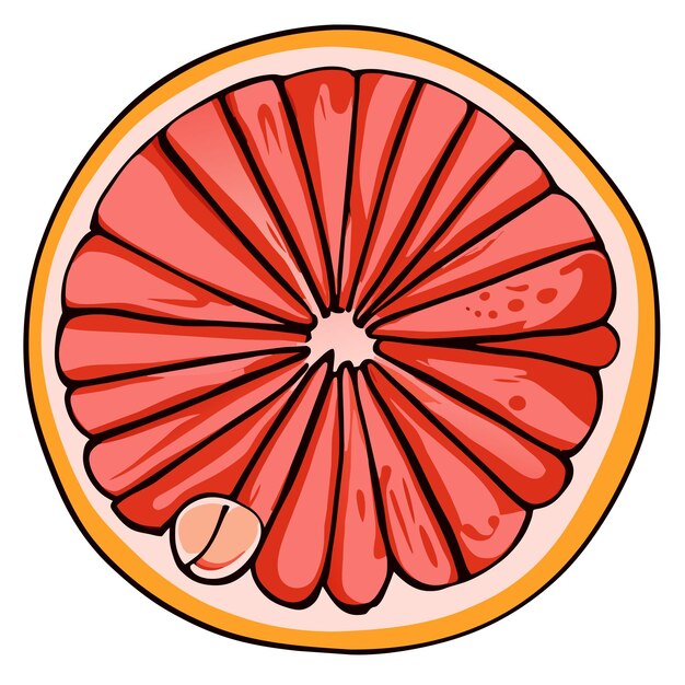 Vector grapefruit hand drawn cartoon sticker icon concept isolated illustration