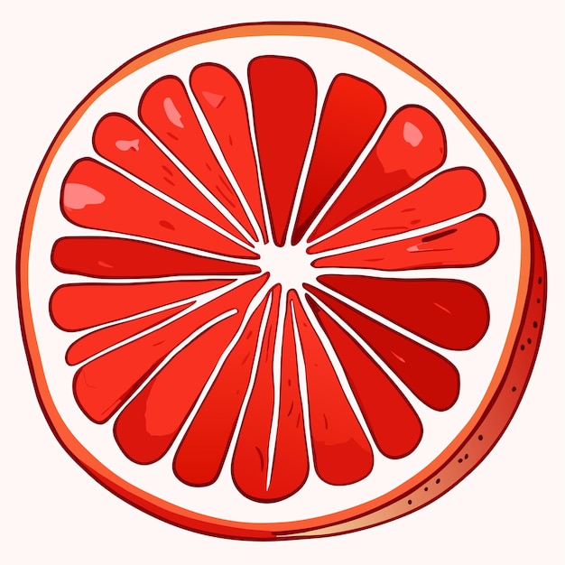 Vector grapefruit hand getekend cartoon sticker pictogram concept geïsoleerde illustratie
