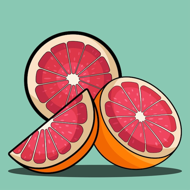 Vector grapefruit illustration nature fruit concept isolated