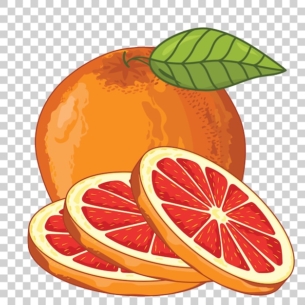 Grapefruit Isolated on transparent