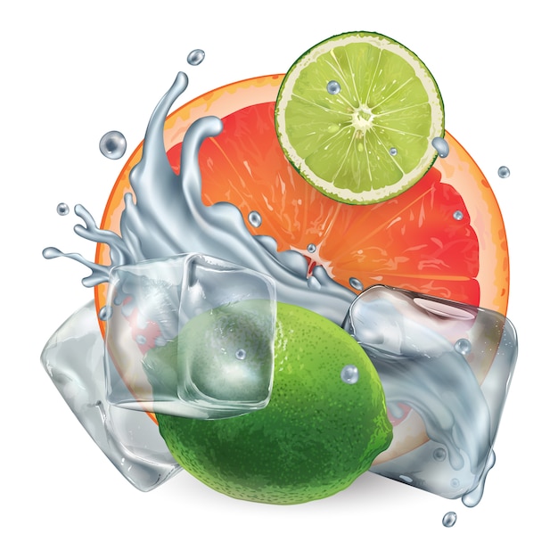 Vector grapefruit and lime with ice cubes and water splash
