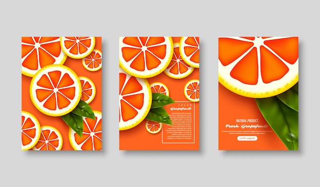 Vector grapefruit poster set.