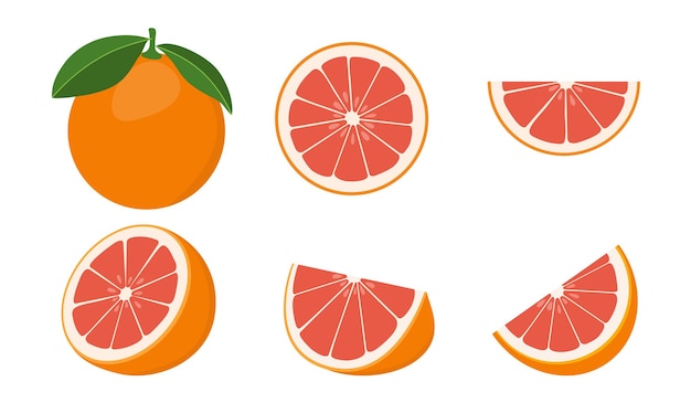 Vector grapefruit set