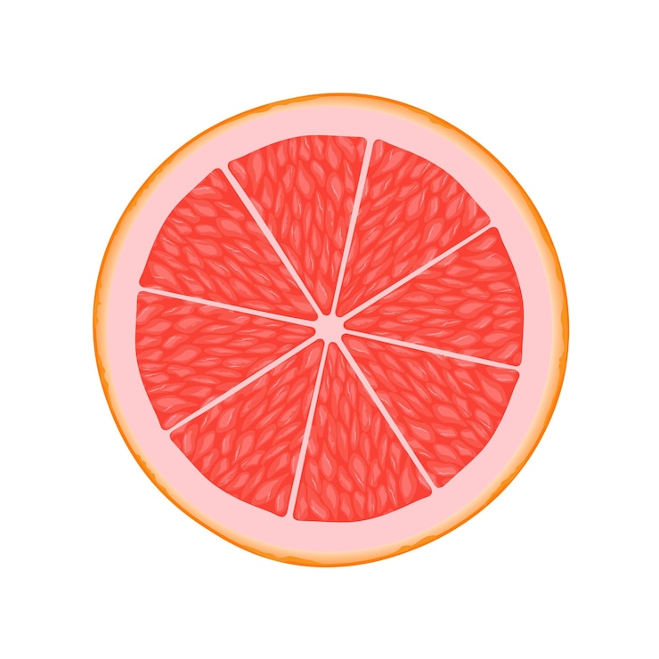 Vector grapefruit slice illustration for web isolated on white background