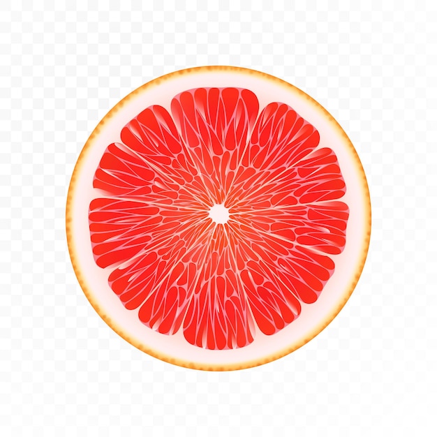 Grapefruit slice Pink grapefruit round slice isolated on transparent background Grapefruit pink Realistic 3d vector illustration Flat lay Top view