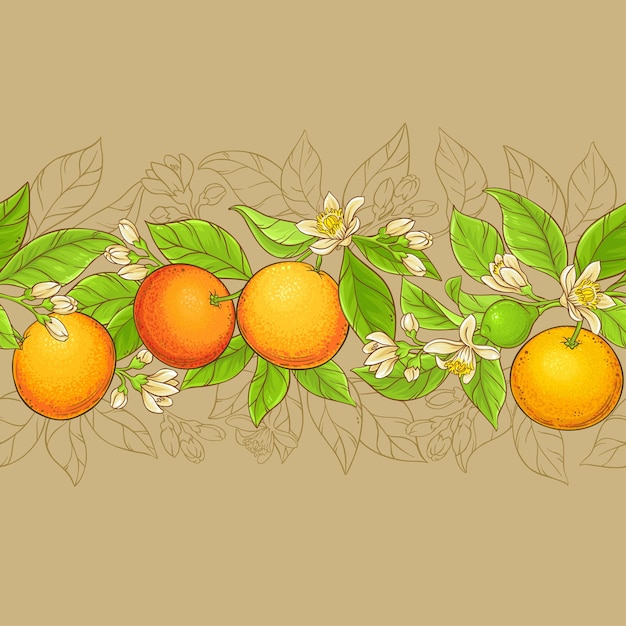 Grapefruit takken vector patroon op kleur achtergrond