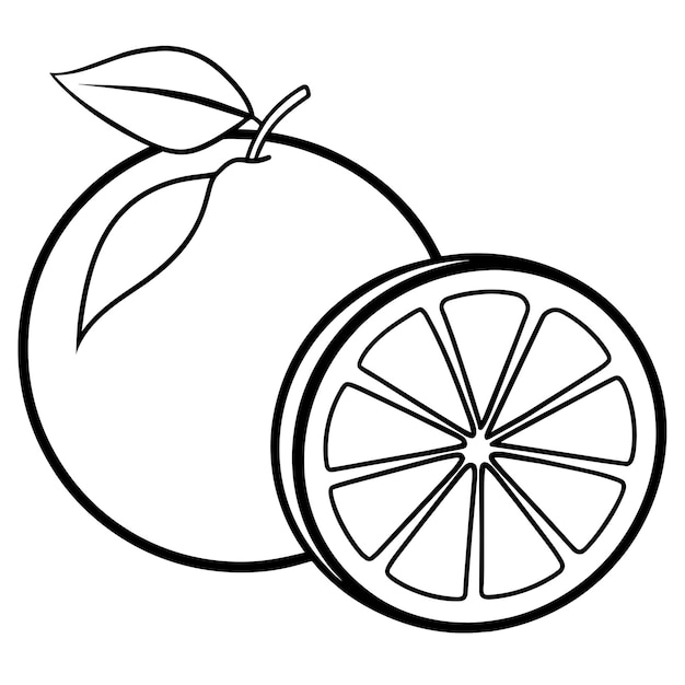 Vector grapefruit vector kunst illustratie 2