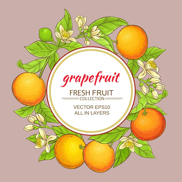 Grapefruit vectorframe