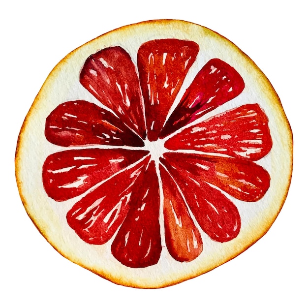 Vector grapefruit