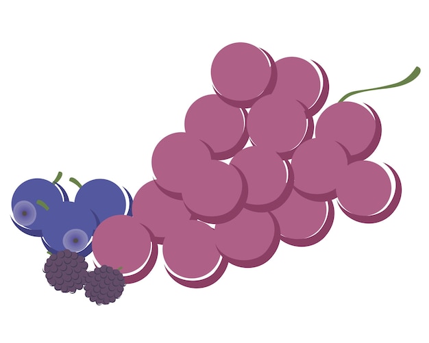 ブドウブルーベリーラズベリー新鮮な果物イラストベクトルオブジェクト食品アイコンセットロゴ