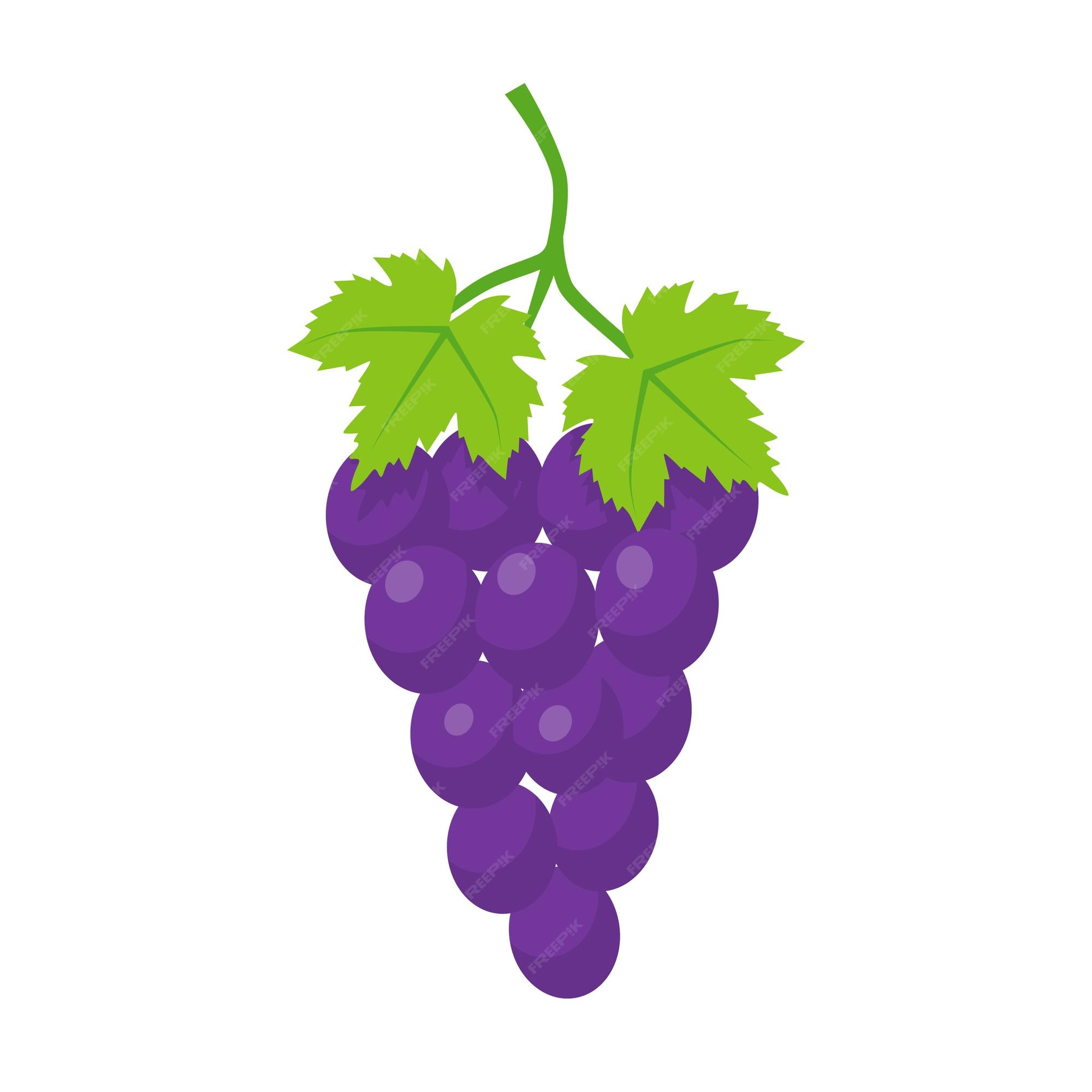 Premium Vector | Grapes cartoon icon. vector illustration flat design style. isolated on white background. grape of fresh ripe with a green leaf. Premium Vector | Grapes cartoon icon. vector illustration flat design style. isolated on white background. grape of fresh ripe with a green leaf.