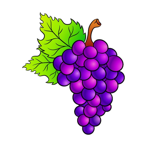 Grapes cartoon icon.