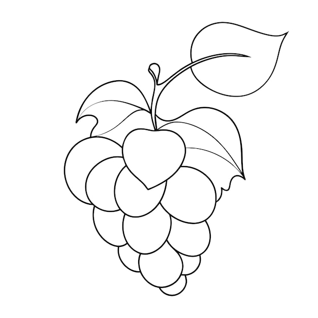 Vector grapes continuous line art vector illustration