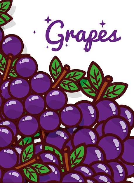 Grapes fruit juicy sweet poster