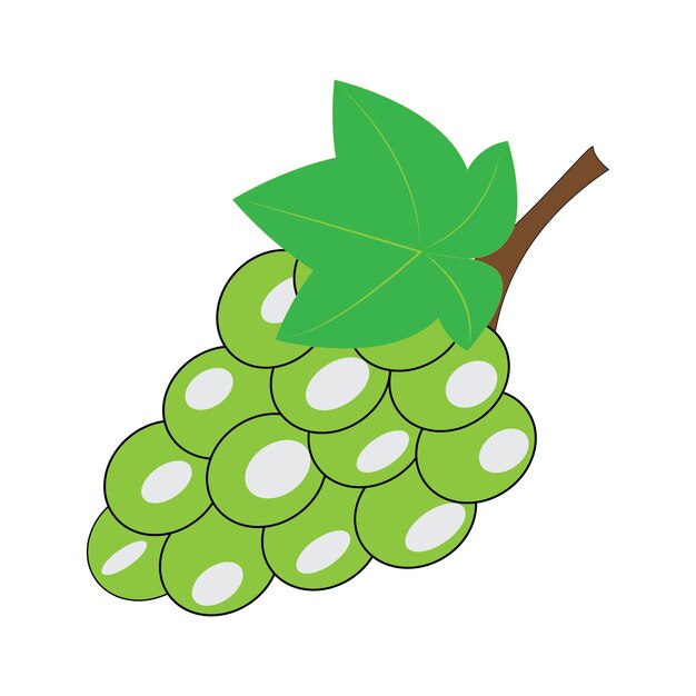 Vector grapes icon vector design template